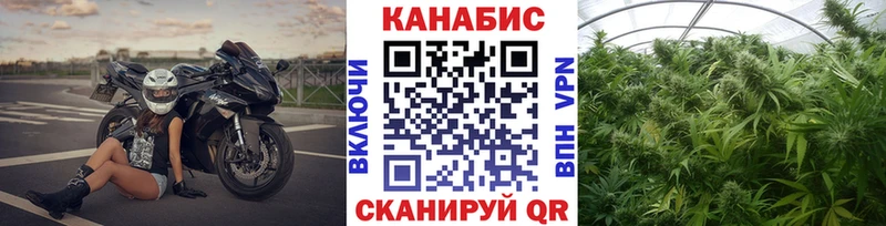 Альфа ПВП Котельниково