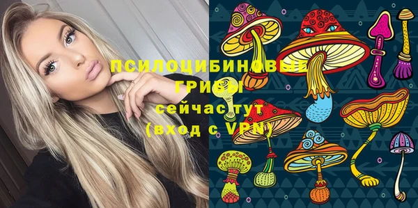 гашик Балабаново