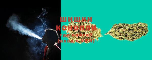 кристаллы Инта