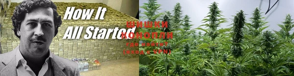 гашик Балабаново