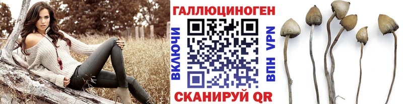 Псилоцибиновые грибы GOLDEN TEACHER  Котельниково 